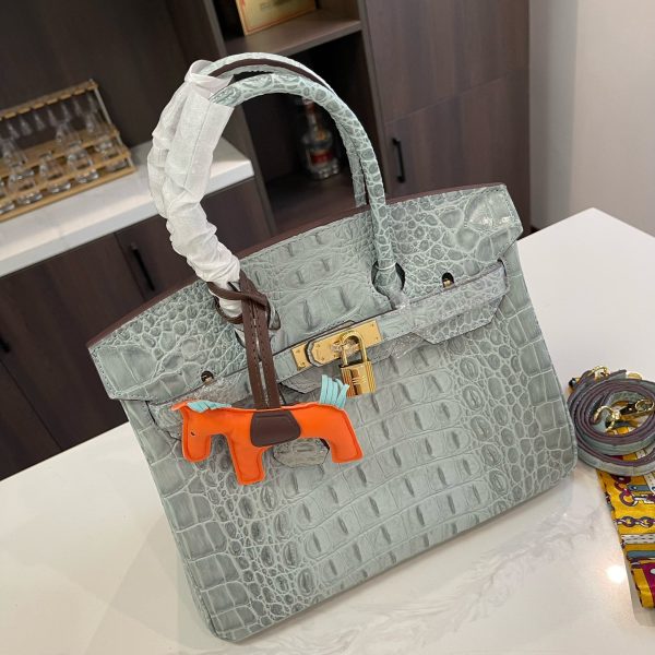 Hermes advanced crocodile pattern platinum bag