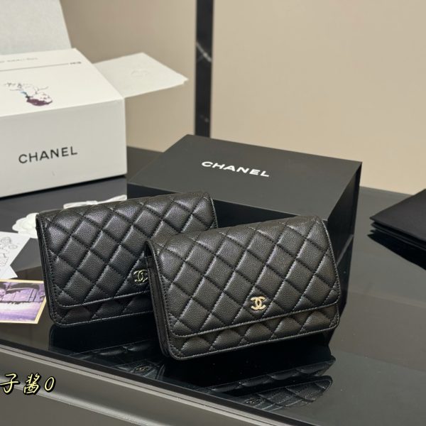 Chanel Classic Wealth Bag