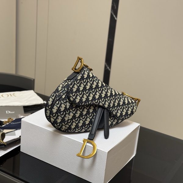 Dior presbyopia saddle bag